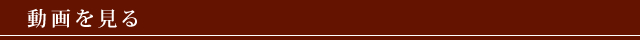 動画を見る